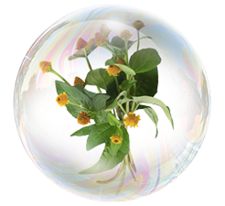 Gatuline® Expression