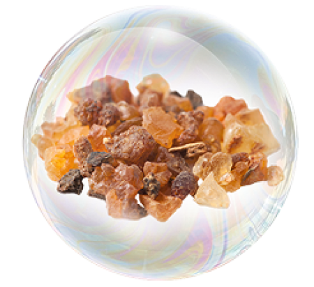 Commiphora mukul extract